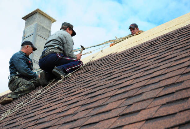 Best Roof Gutter Cleaning  in West Reading, PA